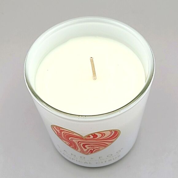 Sand & Fog White Candle, Tropical Citrus with Heart on the Front, NWOT - Picture 4 of 5